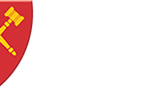 LSF_Logo_Footer